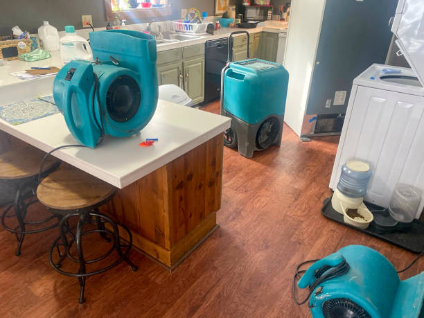 Best Flooded house restoration  in Brooklyn, WI