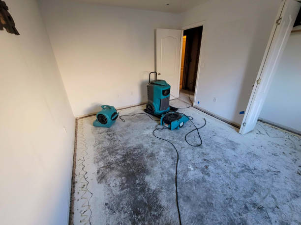Best Water damage repair service  in Brooklyn, WI