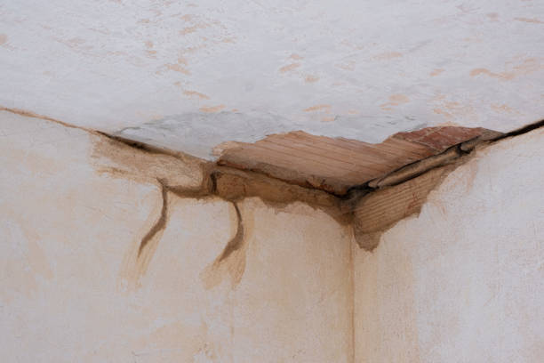 Best 24-hour water damage restoration  in Brooklyn, WI