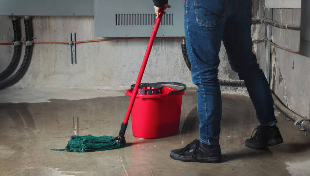 Best Flood damage cleanup  in Brooklyn, WI