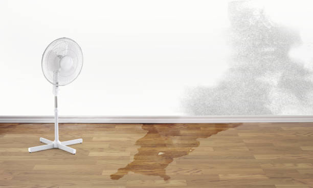 Best Fire Damage Restoration  in Brooklyn, WI