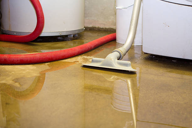 Best Commercial water damage restoration  in Brooklyn, WI